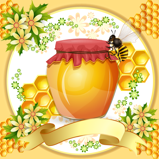 Marco de panal de abejas y miel