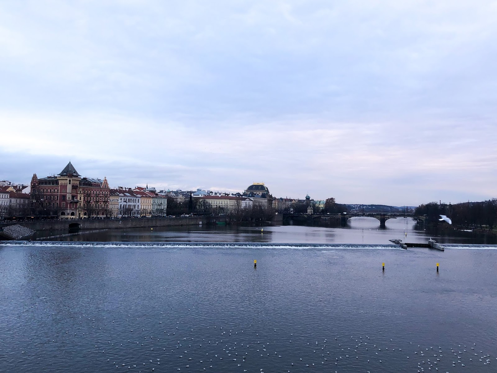 Rezension Zu Black Dagger Zsadist Bella Von J R Ward