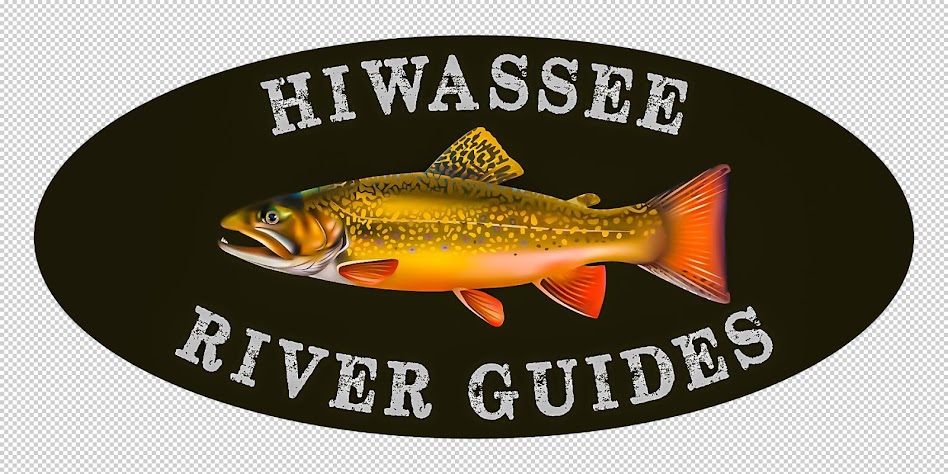 Hiwassee River Guides