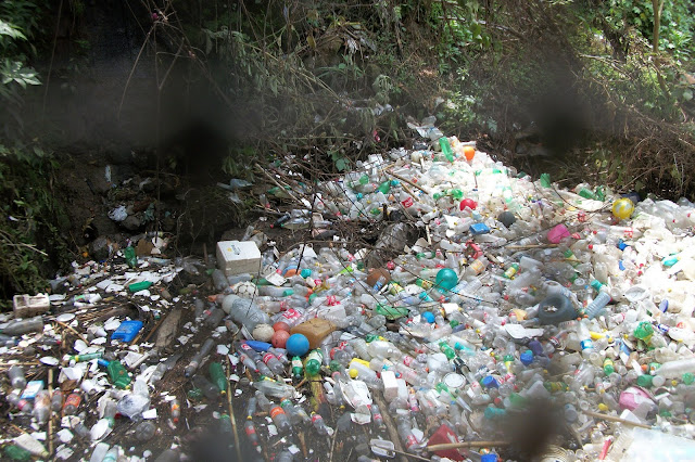Plantean la prohibición de plásticos de un solo uso en Michoacán.
