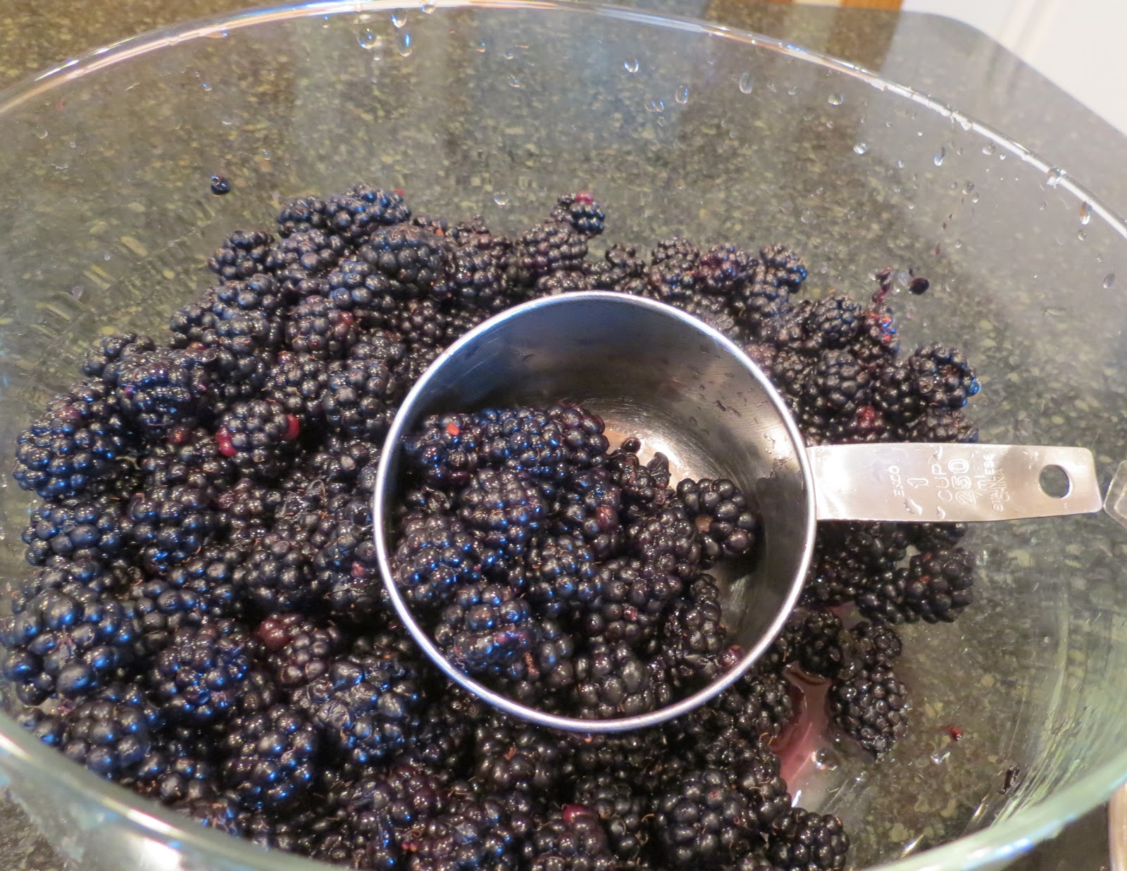 field notes Blackberries v.2 Jam!