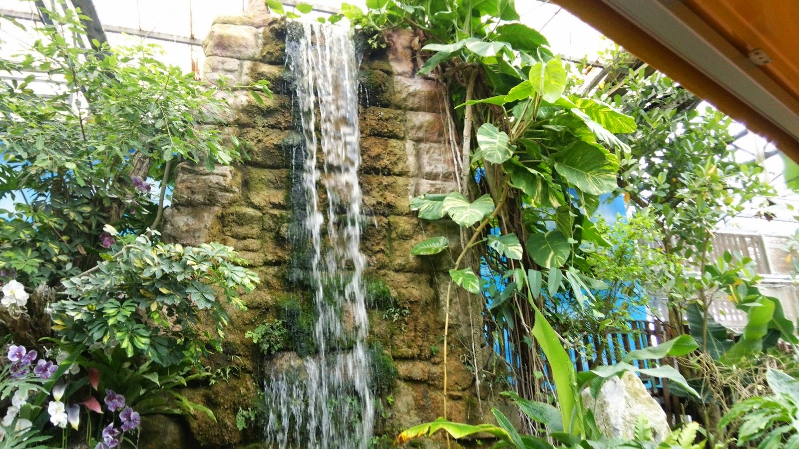 to Nago! Pineapple Park