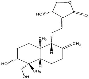 KAMPUS FARMASI: ANDROGRAPHIS PANICULATA Ness