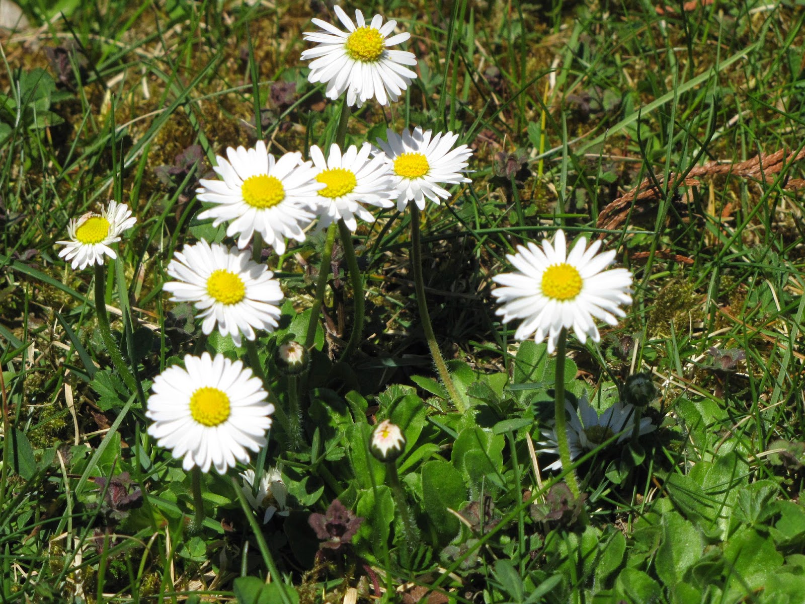 Rothenblog April 2015