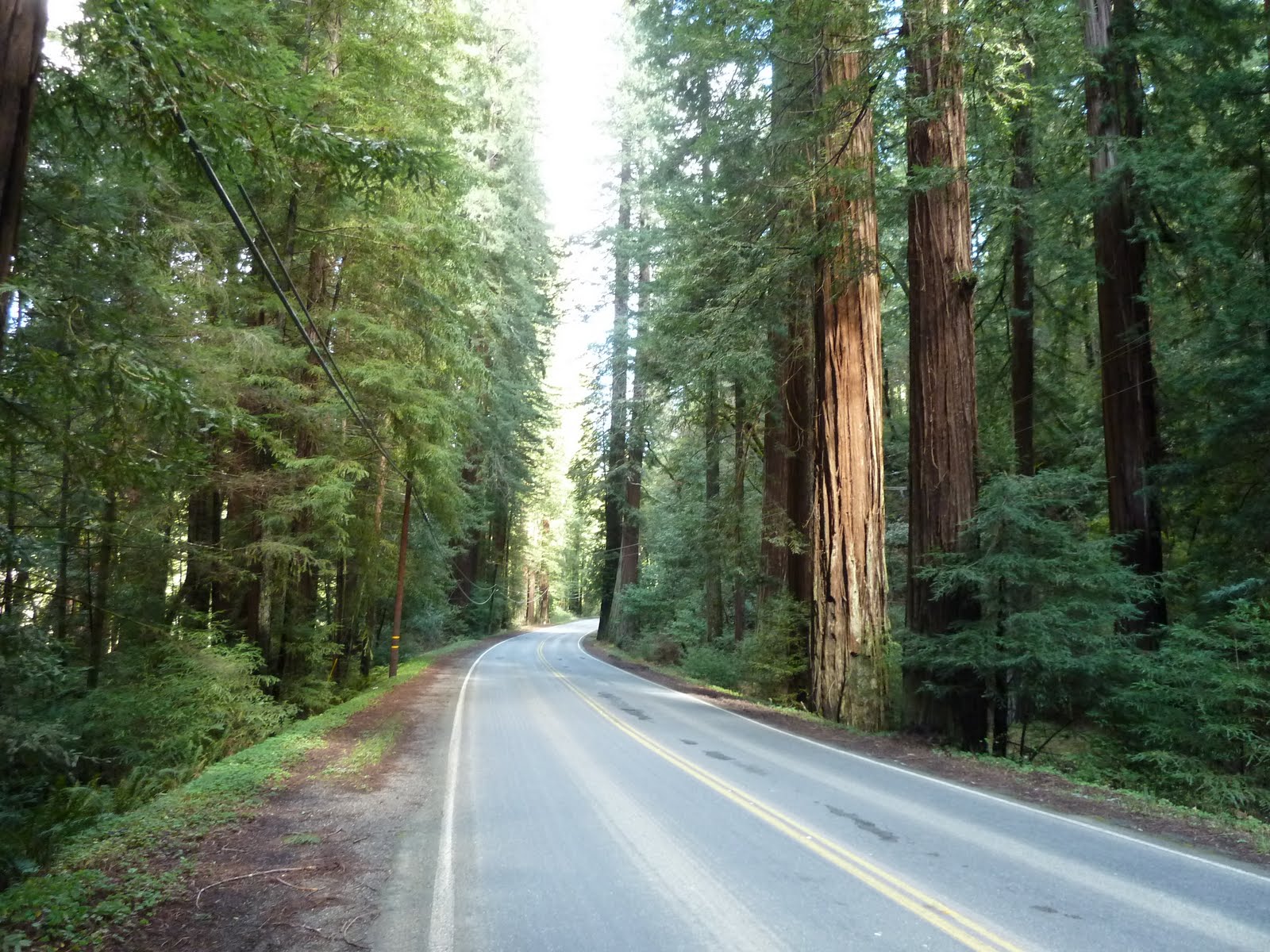 seniors walking across america DAY 57 REDWAY PHILLIPSVILLE