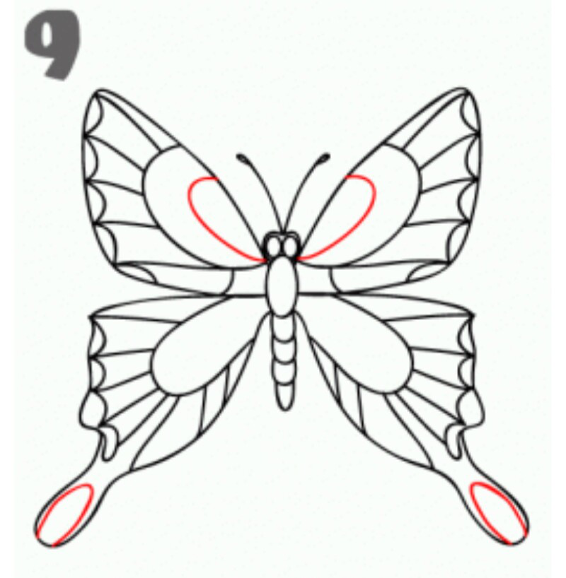 Menggambar sketsa kupu  kupu  INFOZANI
