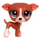 Littlest Pet Shop Dioramas Greyhound (#1585) Pet