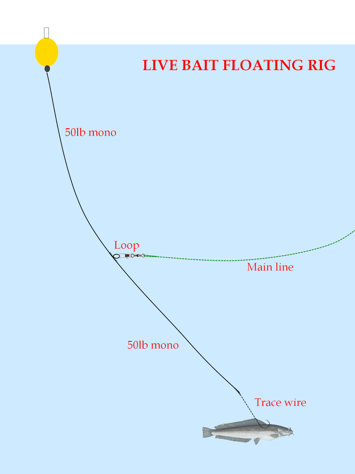 Fishing Rigs DriverLayer Search Engine fishing-rigs-driverlayer-search-engine