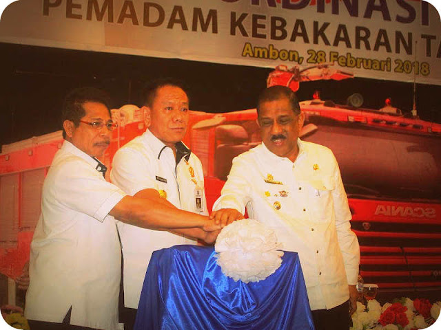 Pemadam Kebakaran (Damkar) Harus Optimalkan Koordinasi Instasional Pemadam Kebakaran (Damkar) Harus Optimalkan Koordinasi Instasional