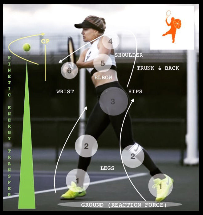 TIMELESS TENNIS Tennis Topic of the Day Energy Transfer from