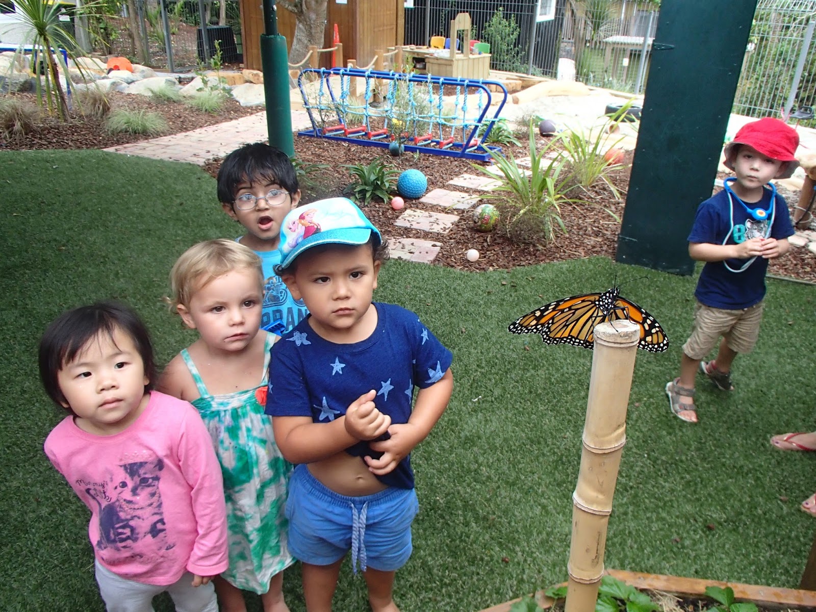 Uxbridge Early Learning Centre Blog Monarch Butterfly