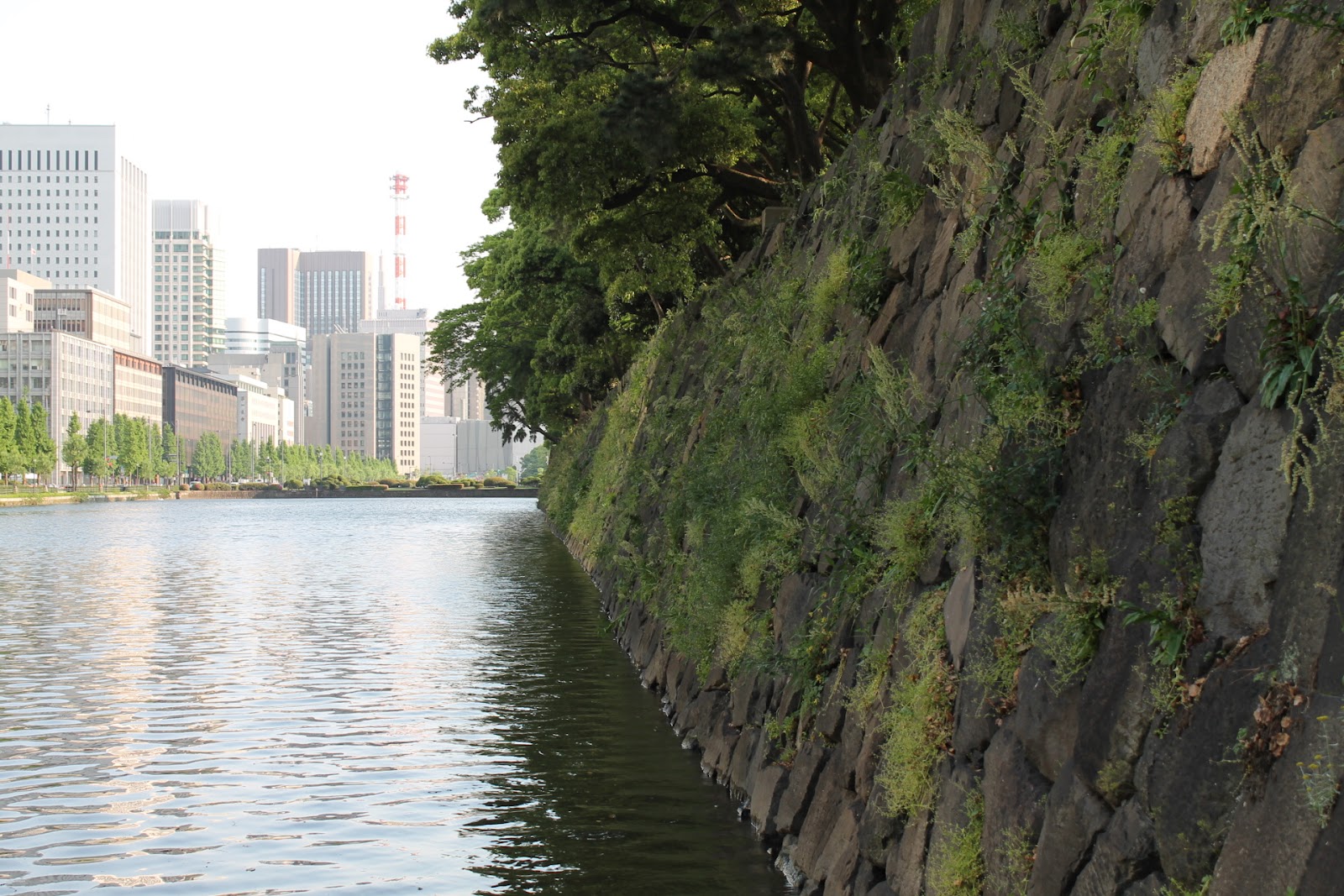 Una tarde con el Emperador