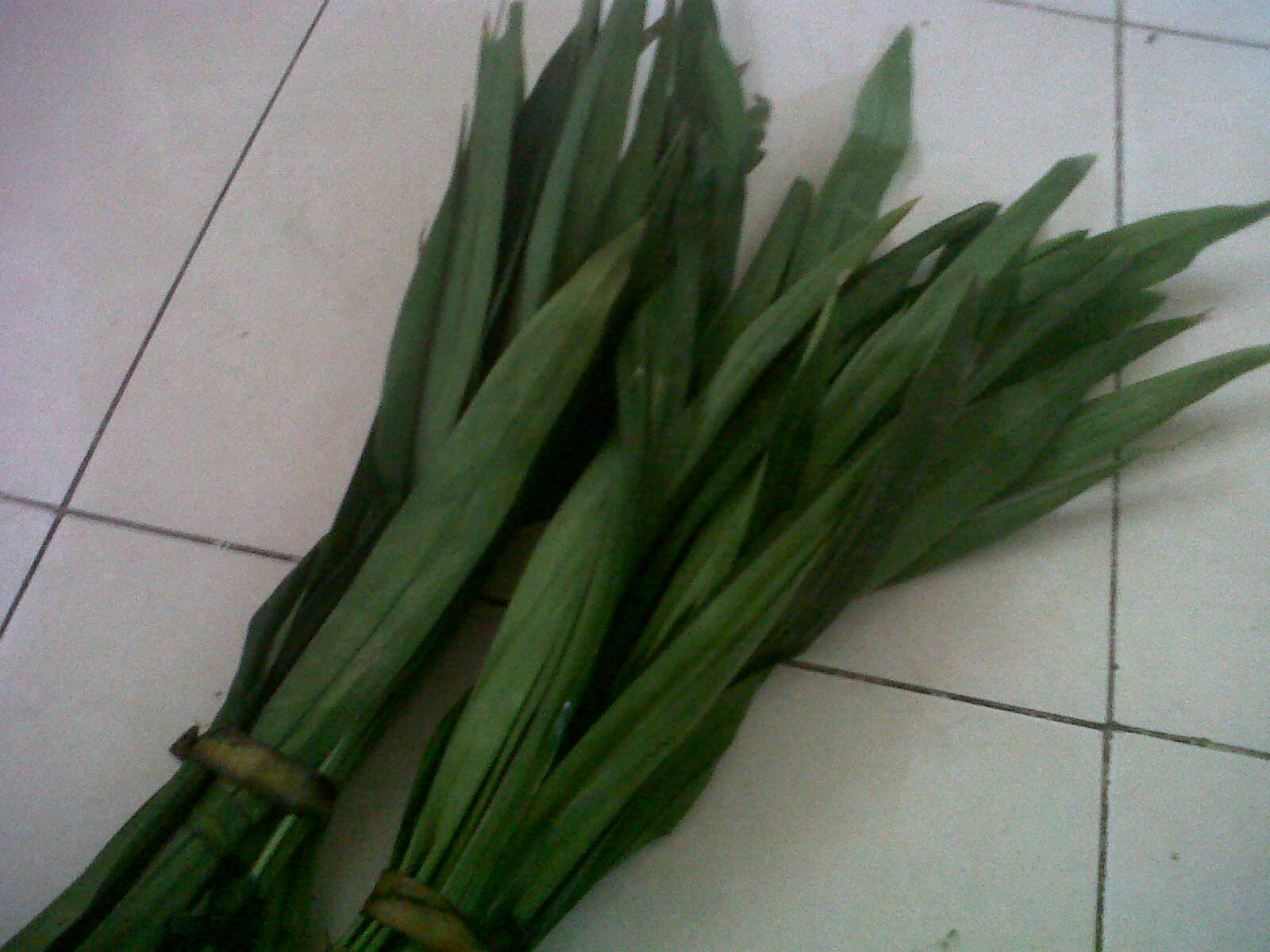 MommyVonZechs Ramadhan and Pandan Leaves Recipes