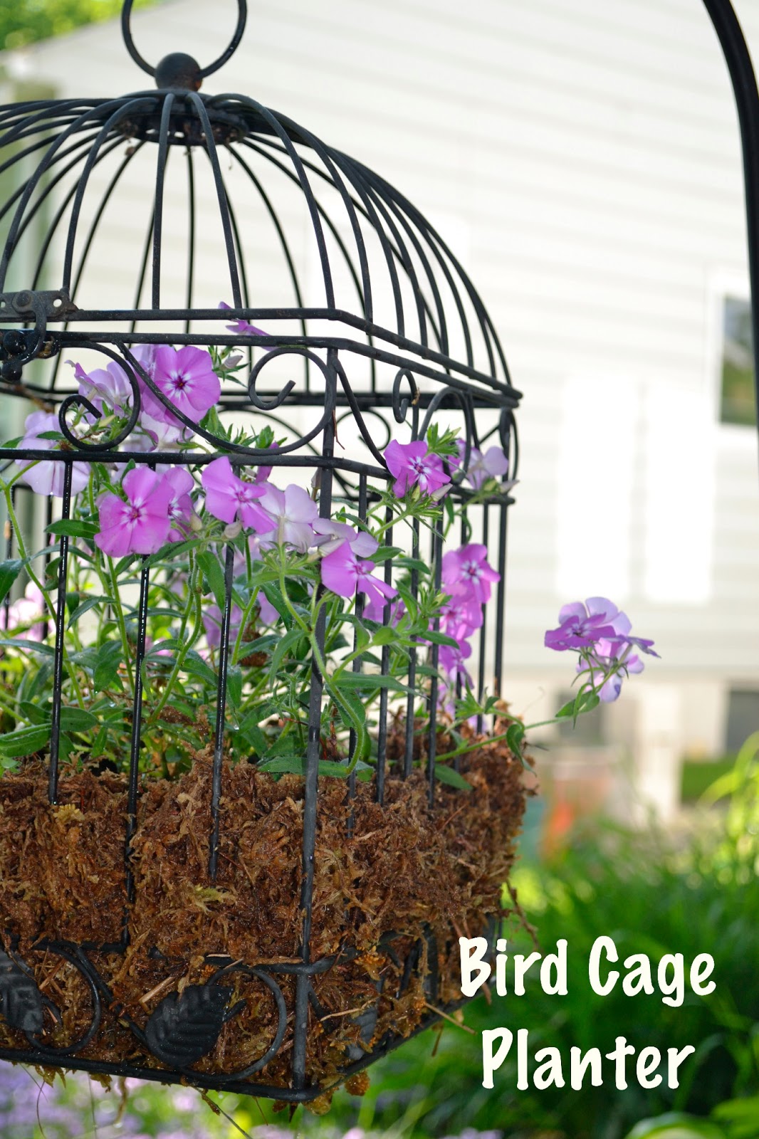 Our House in the Middle of Our Street Bird Cage Planter