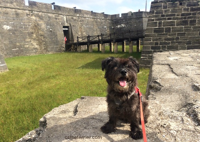 Dog-Friendly Camping in Florida - historic St Augustine near Anastasia State Park