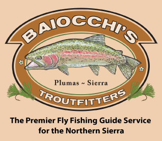 Fly Fish the Northern Sierra