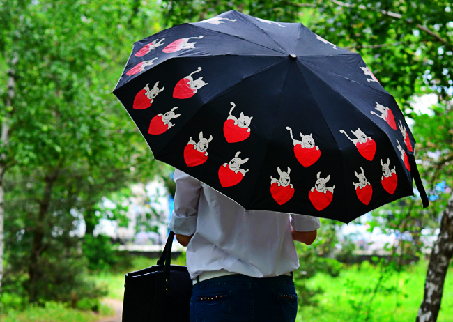 Где найти зонтики. Найти зонтики. Найди зонт. Алиса Найди зонтики. Вот зонтики д.