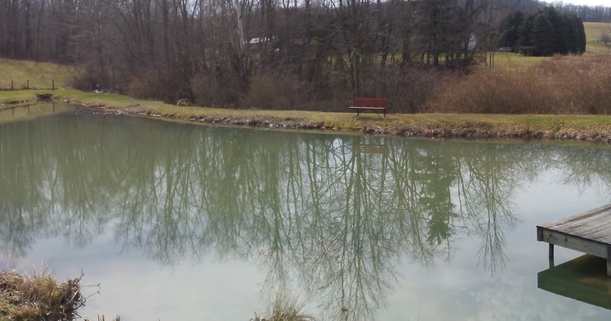 Valley Brook Farm Pond