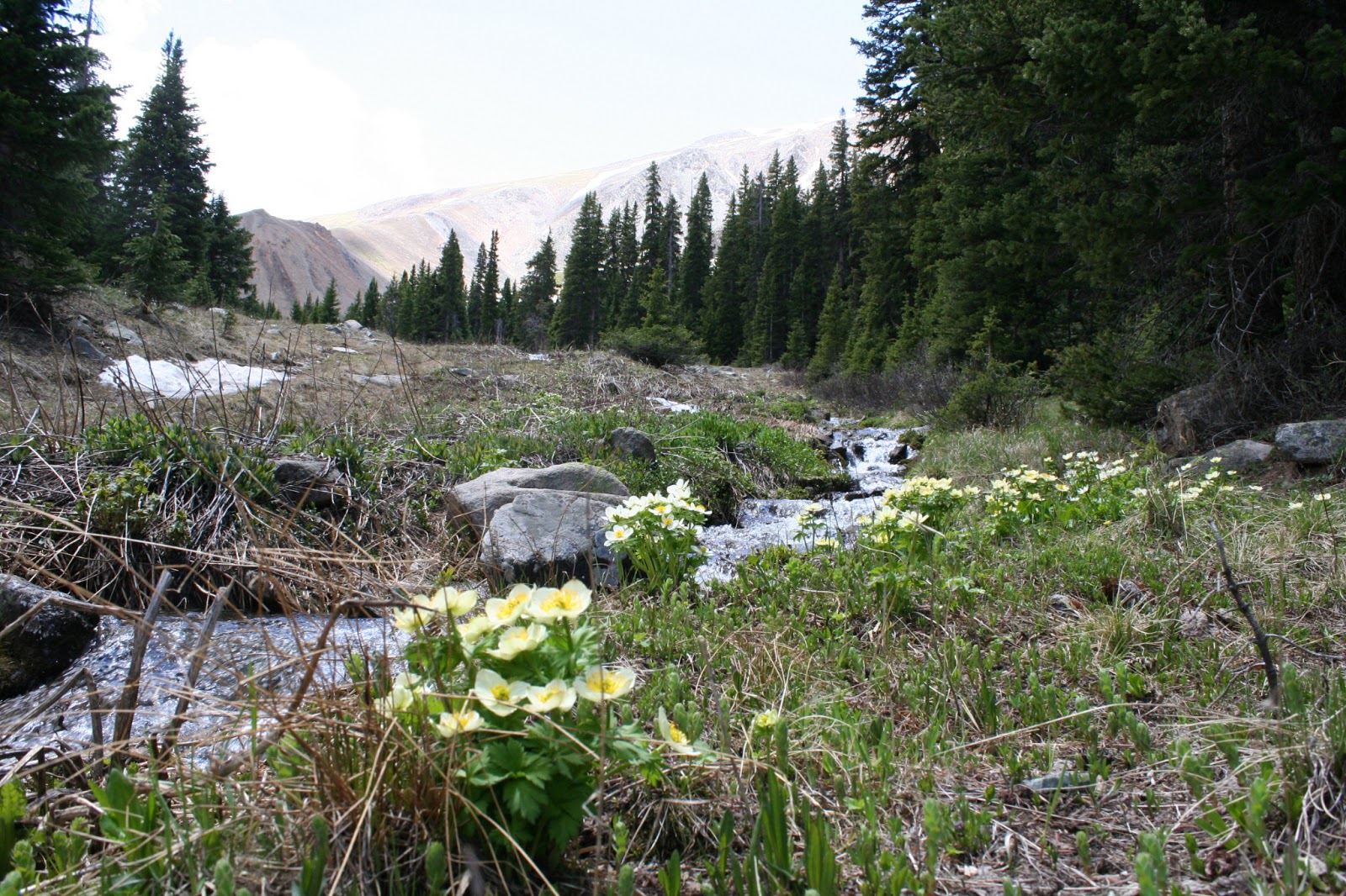 The Hiker French Gulch Hike