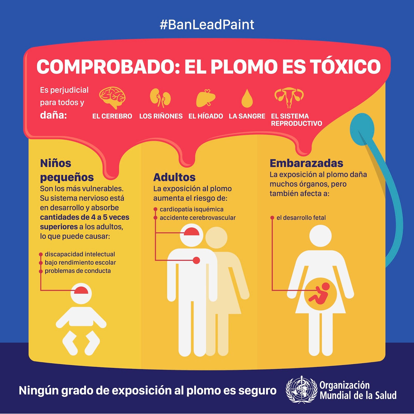 Cocina Segura Semana Internacional de prevención de la intoxicación