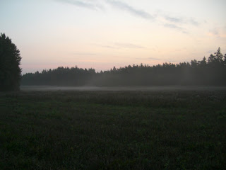 CIMG2536 - Vacker, dimmig höstmorgon