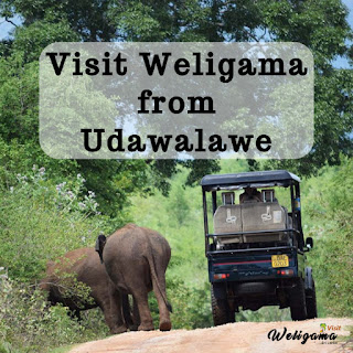 How to visit Weligama from Udawalawe : VisitWeligama