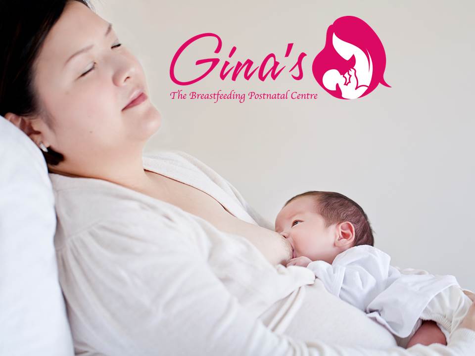 Gina's Place The Birth of a Breastfeeding Postnatal Centre