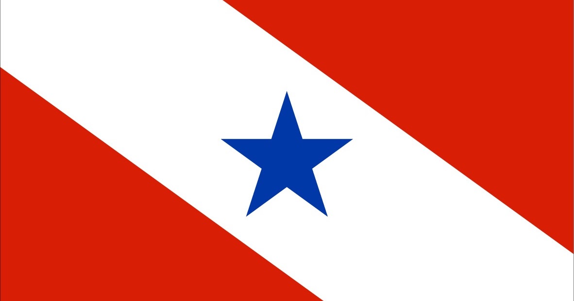 Significados das bandeiras (16) - Estado do Pará - O Blog do Mestre