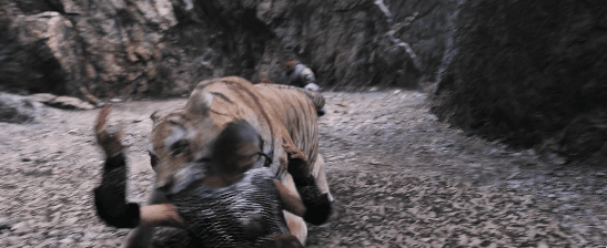 26.gif