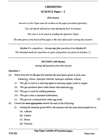 Intro paragraph essay example image