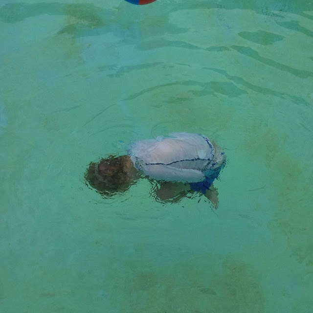 Daily Campello Art News Dead man's float