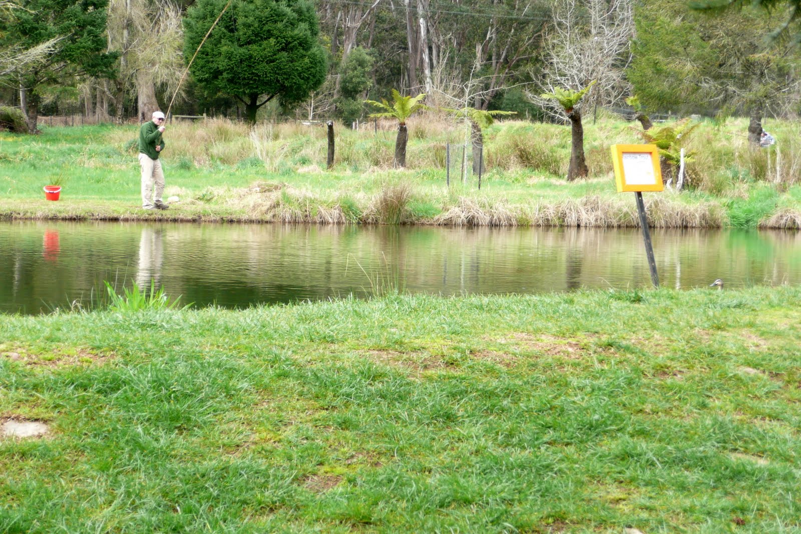 Hither and Thither Myrtleford Trout farm