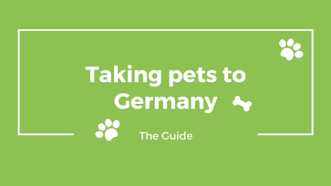 Taking Dogs or Cats to Germany