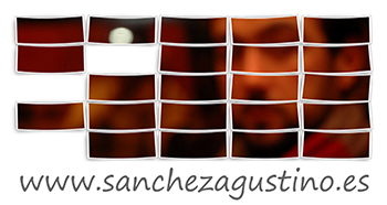www.sanchezagustino.es