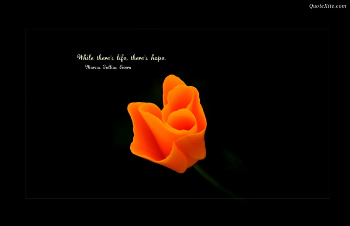Quotes Background Wide Wallpaper | Mega Wallpapers