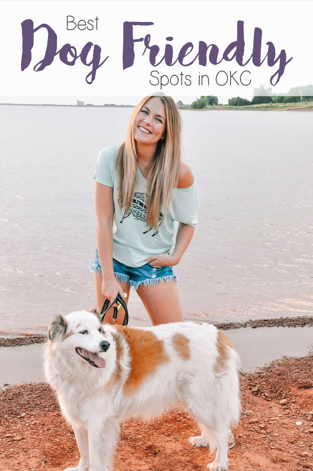 Best Of OKC Dog Friendly Spots Amanda s OK A Lifestyle Blog