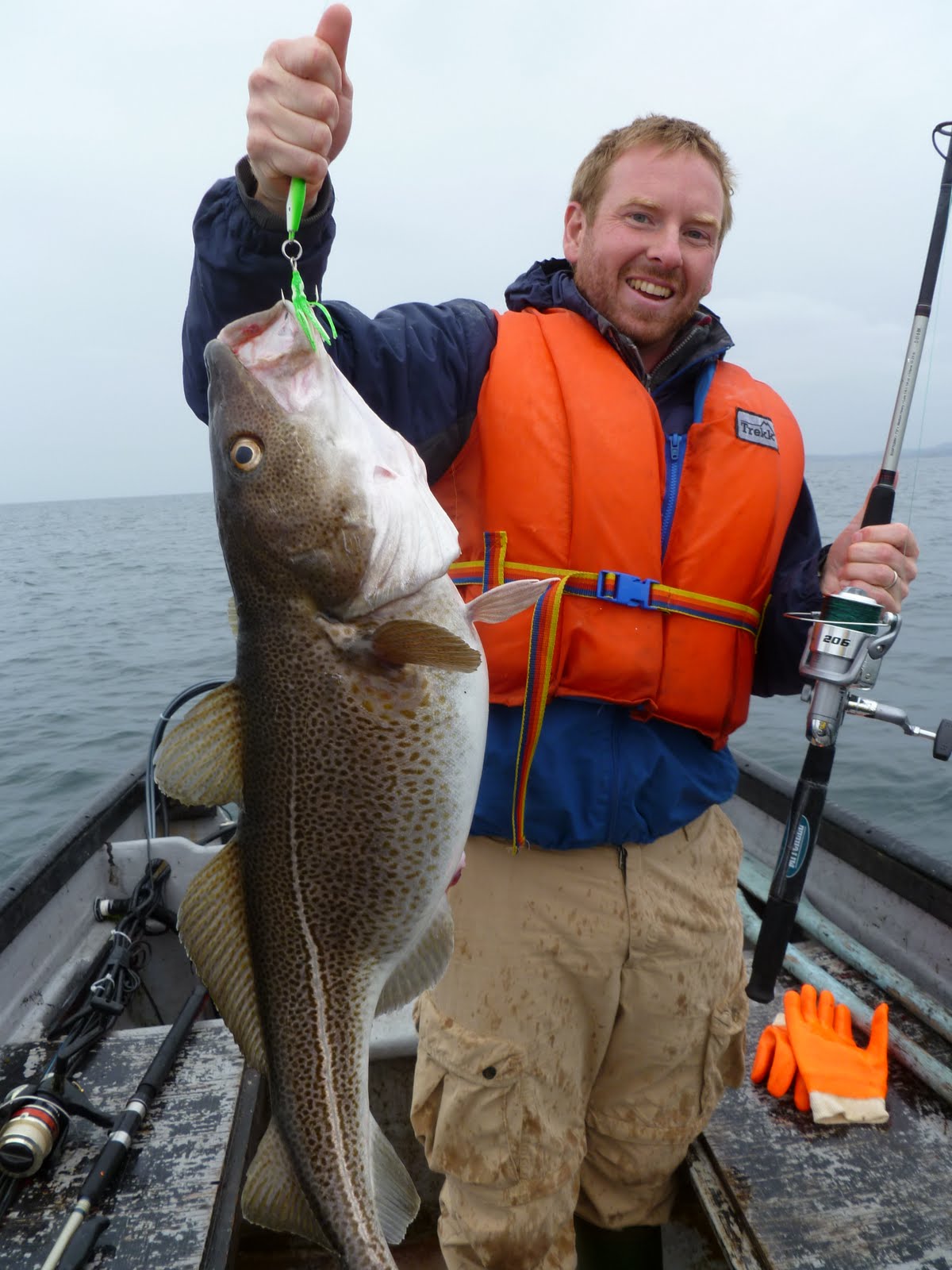 A Wicked Scoff...Newfoundland Food and Recipes with New England Influences