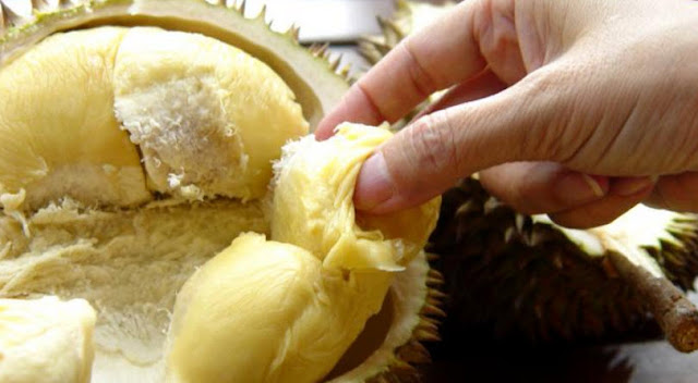Durian: The Many Benefits Of