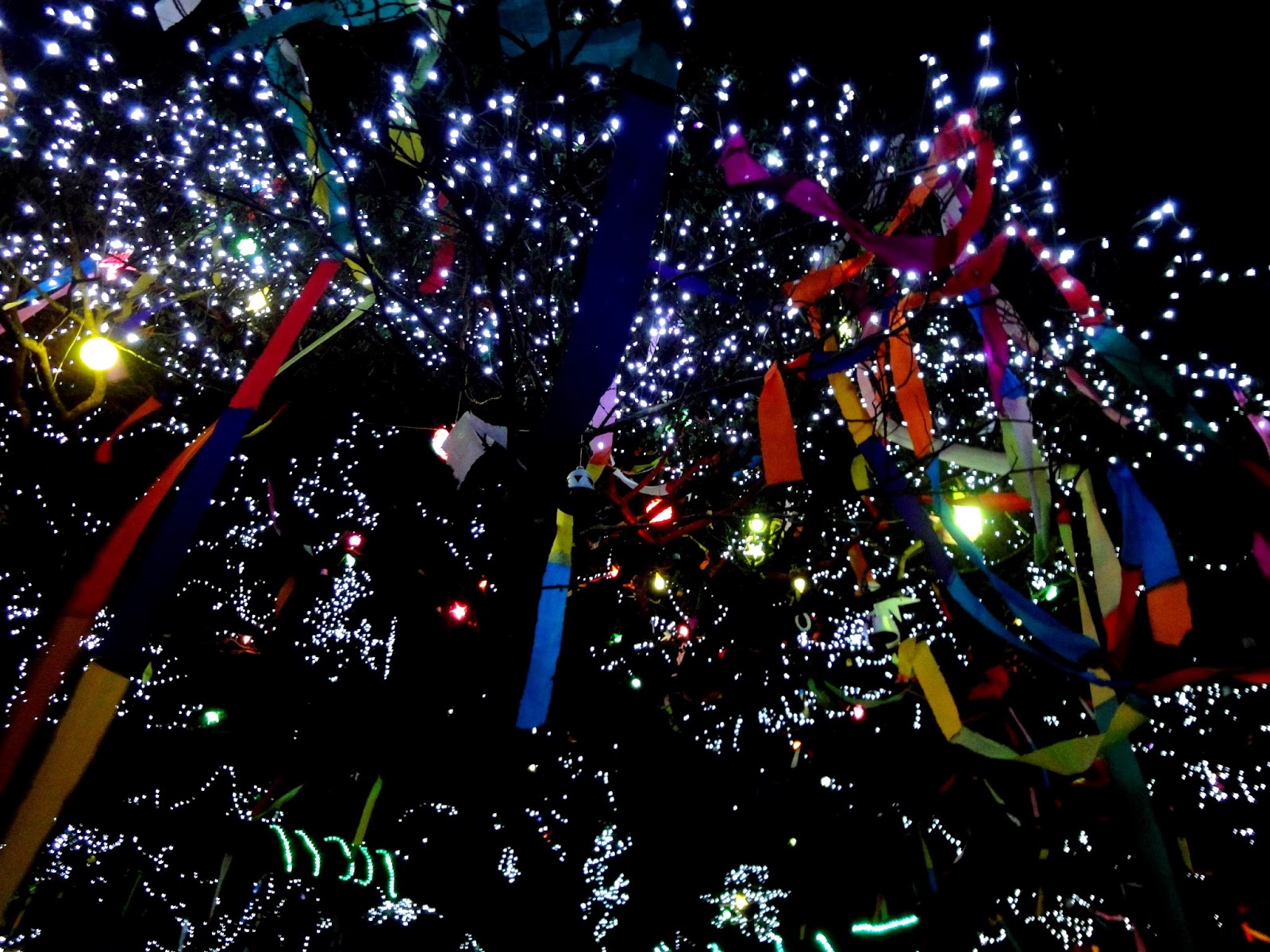 Tickled by Inspirations... Christmas and New Year in Kochi