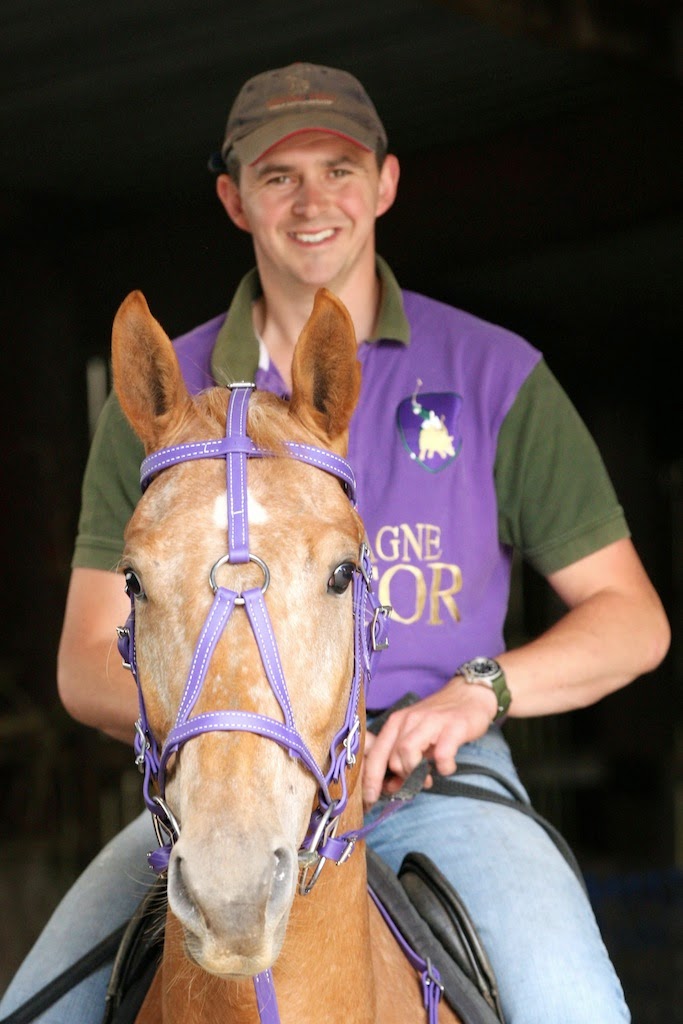 Chamfron Stud Two Horse Tack