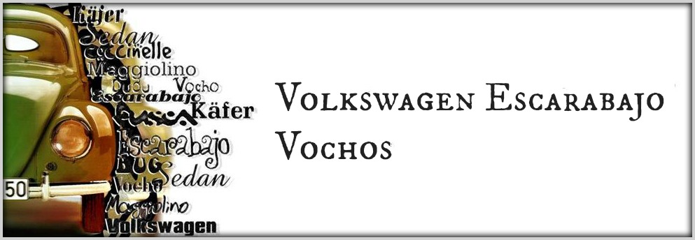 Volkswagen Escarabajo (Vochos)