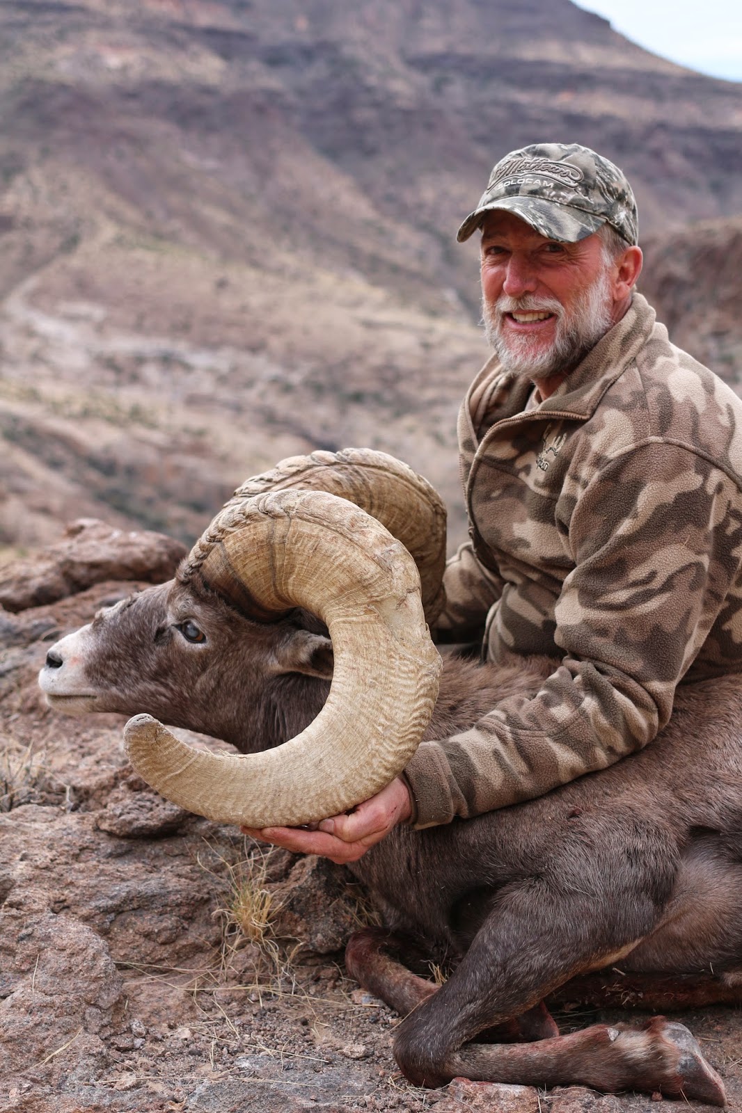 Jay Scott Outdoors Unit 15D Arizona Desert Bighorn Sheep Hunt Photos III