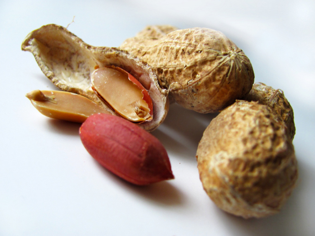 A Anvisa recomenda 15 gramas de amendoim por dia em uma dieta de 2000 calorias