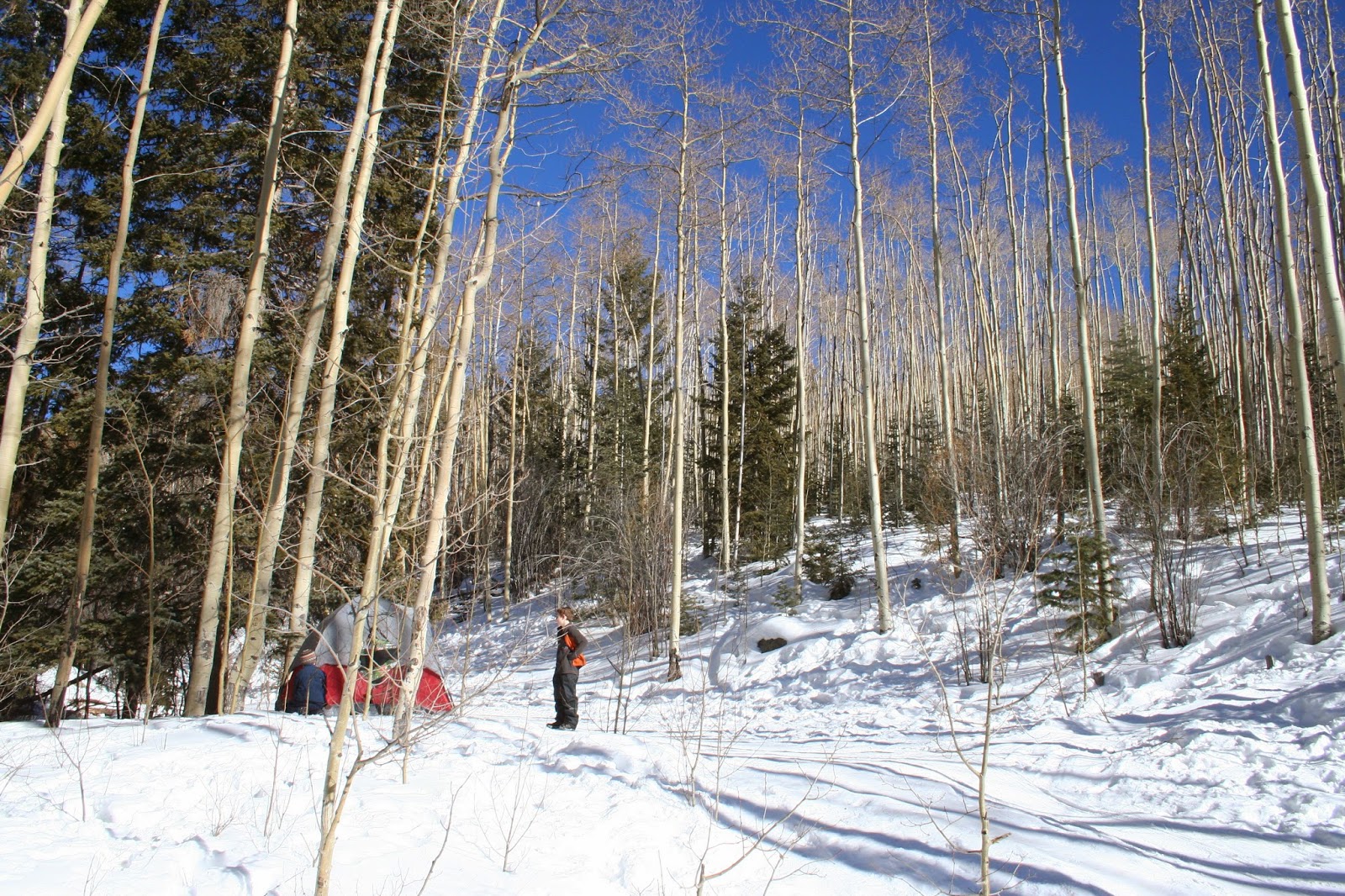 New Mexico Camping Big Tesuque Campground