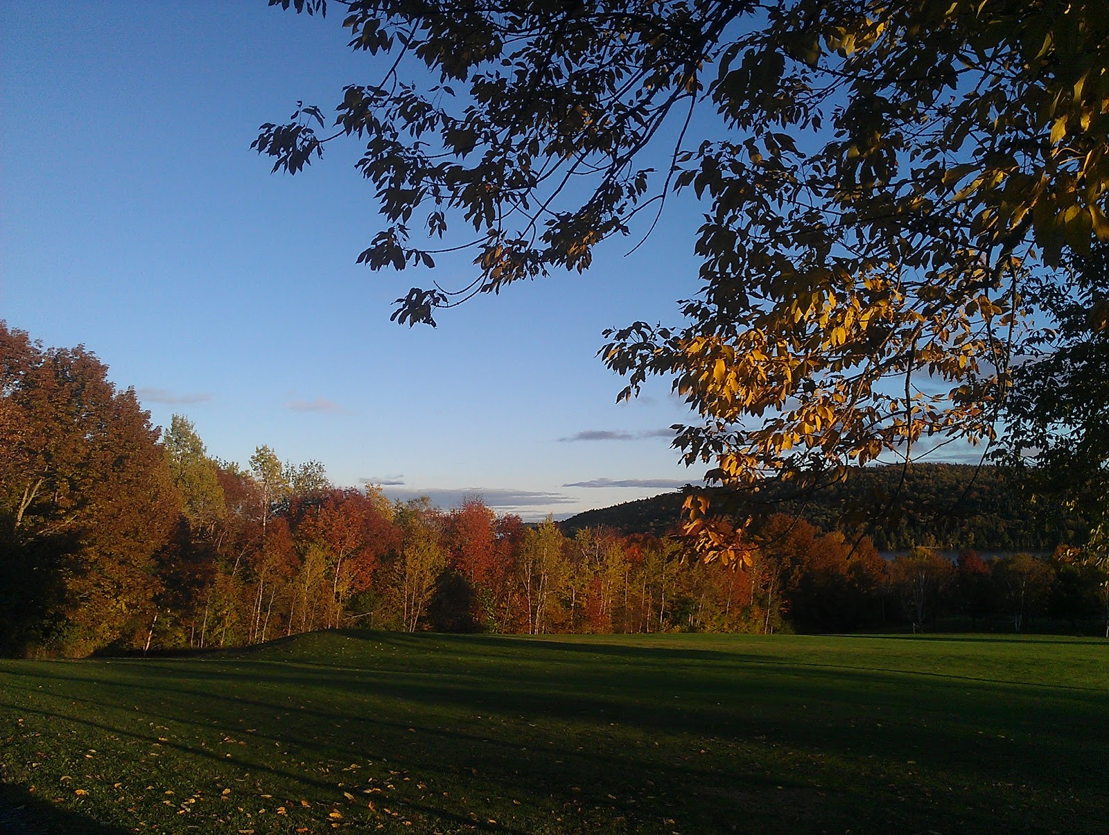 Life and Times on Pleasant Pond