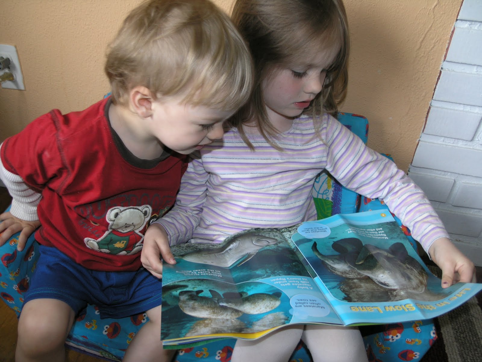 To Every Purpose: Manatee Moments