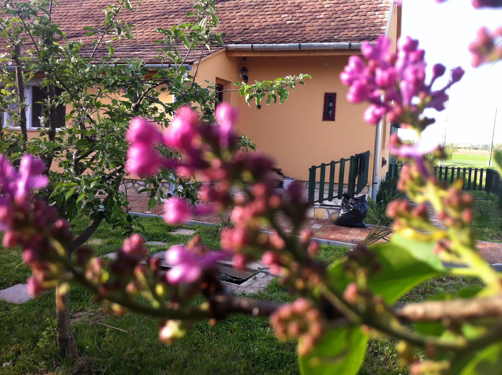 El Jardi De Menuda Natura Lila Lilac