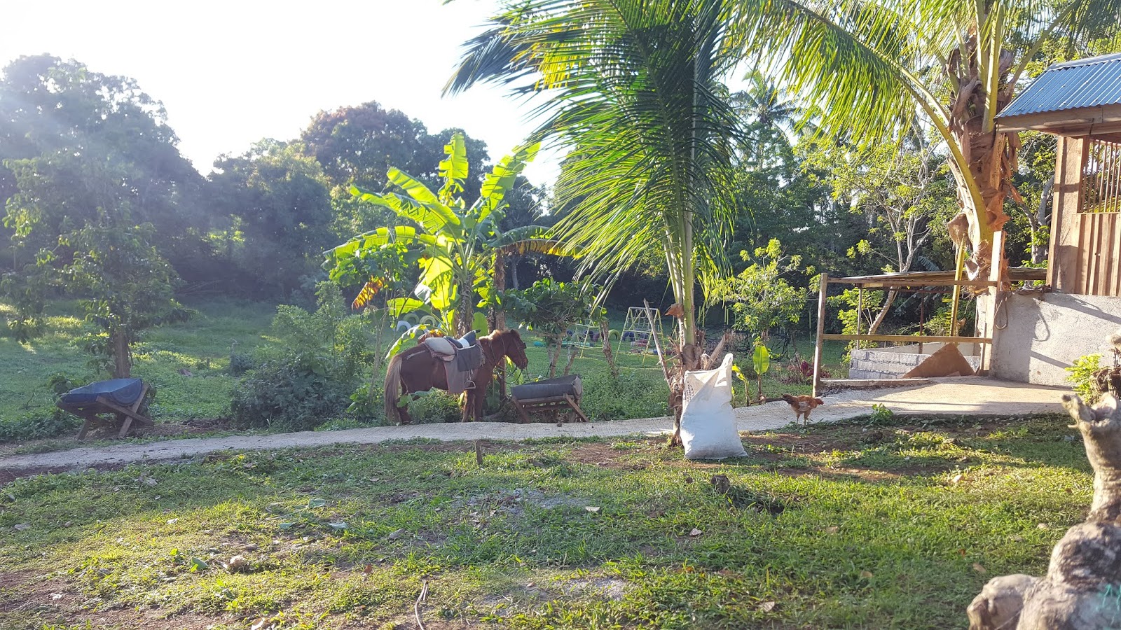 Reptiland Adventure Tagaytay Side Trip Part II Casita del Rose