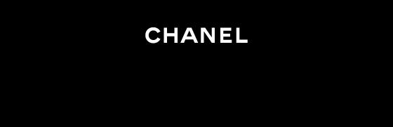 DIARY OF A CLOTHESHORSE: DISCOVER THE LATEST CHANEL SMALL LEATHER GOODS ...