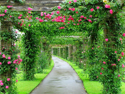 gardens england surrey kew garden nature flower rock rose flowers pretty background roses backgrounds lovely landscape nice urbanism thoughts stunning